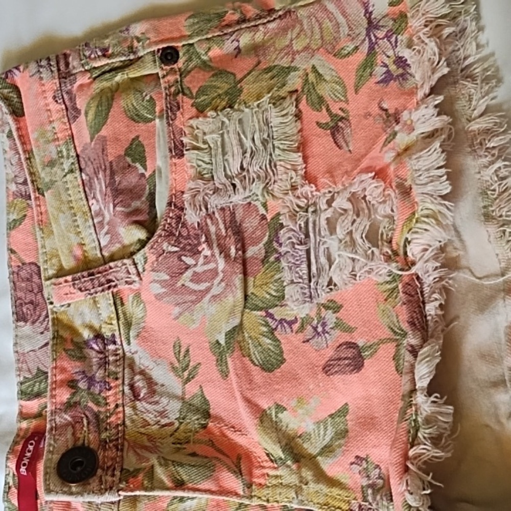 Bongo Distressed Low Rise Shorts - Picture 3 of 6